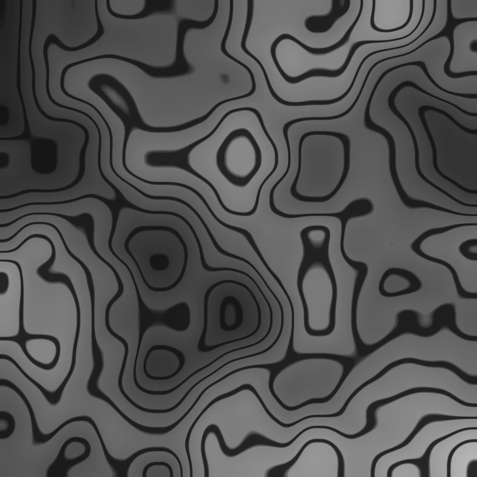 Monochrome topographic relief, captured as a repeating pattern in Generative.